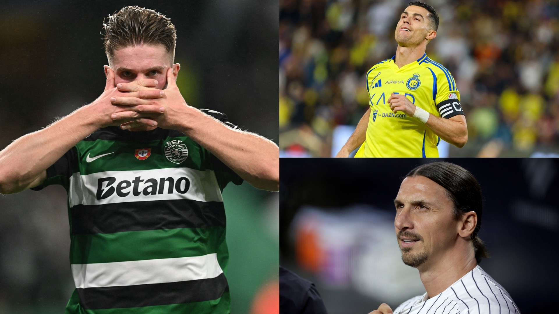 希望能够大 希望能够大