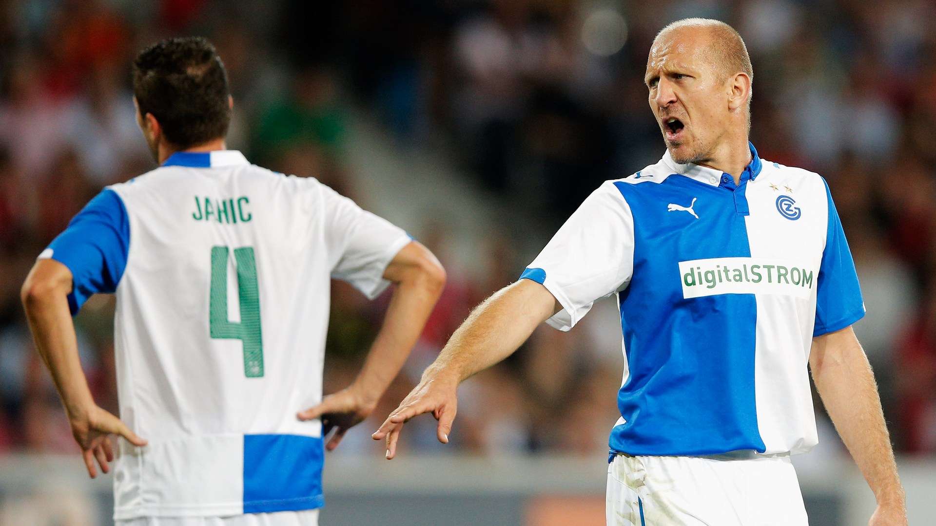 也是文化的 也是文化的