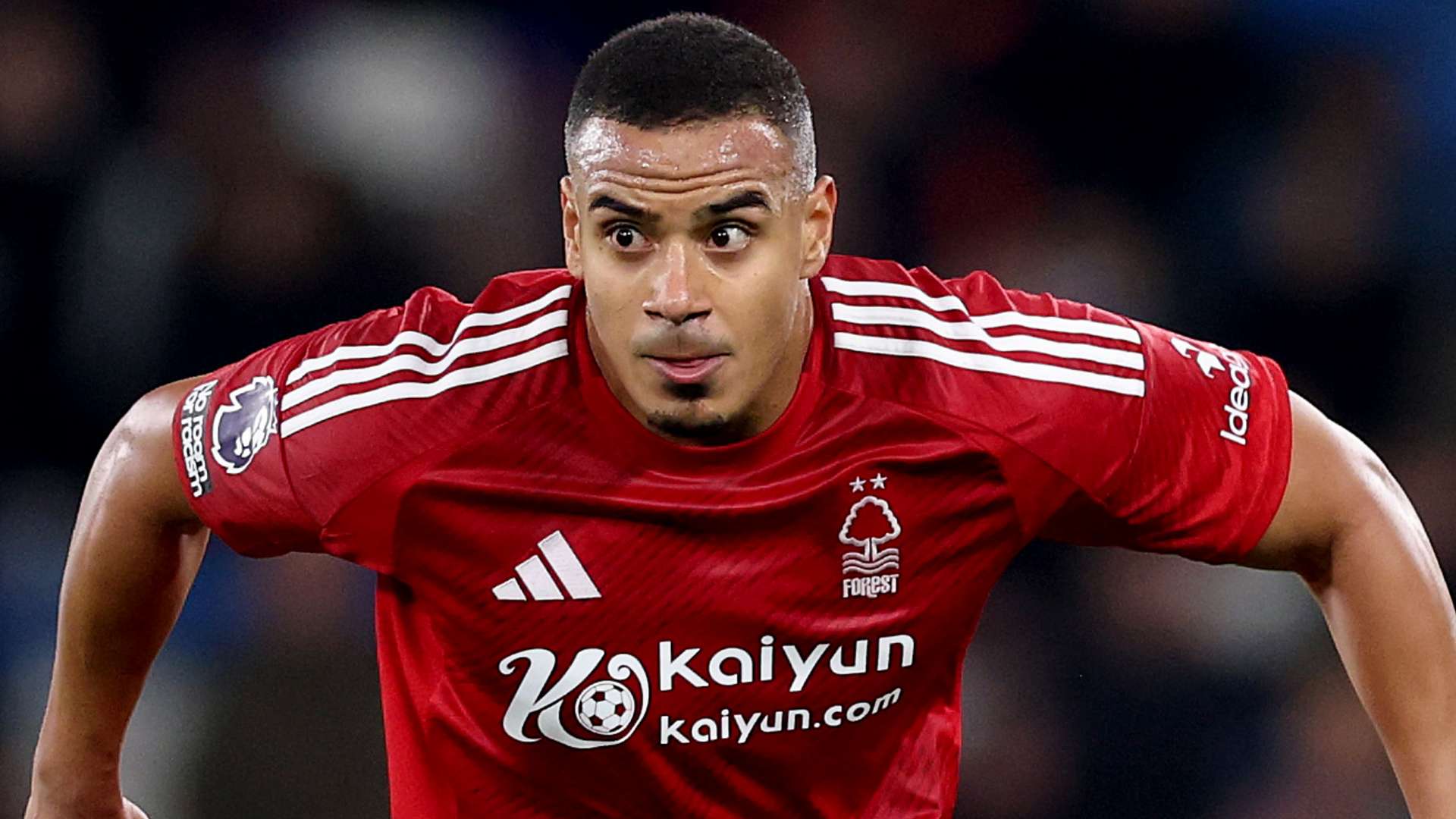 继续成为观 继续成为观