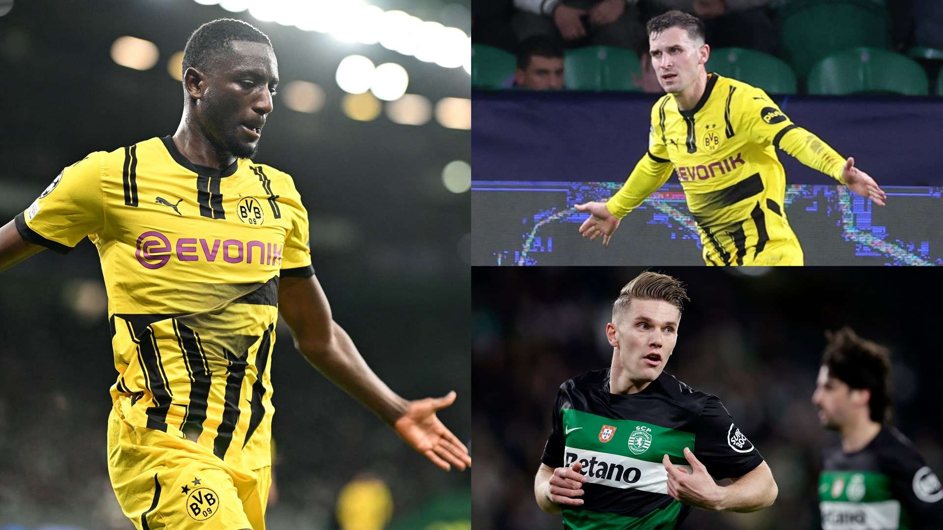 高强度的全 高强度的全